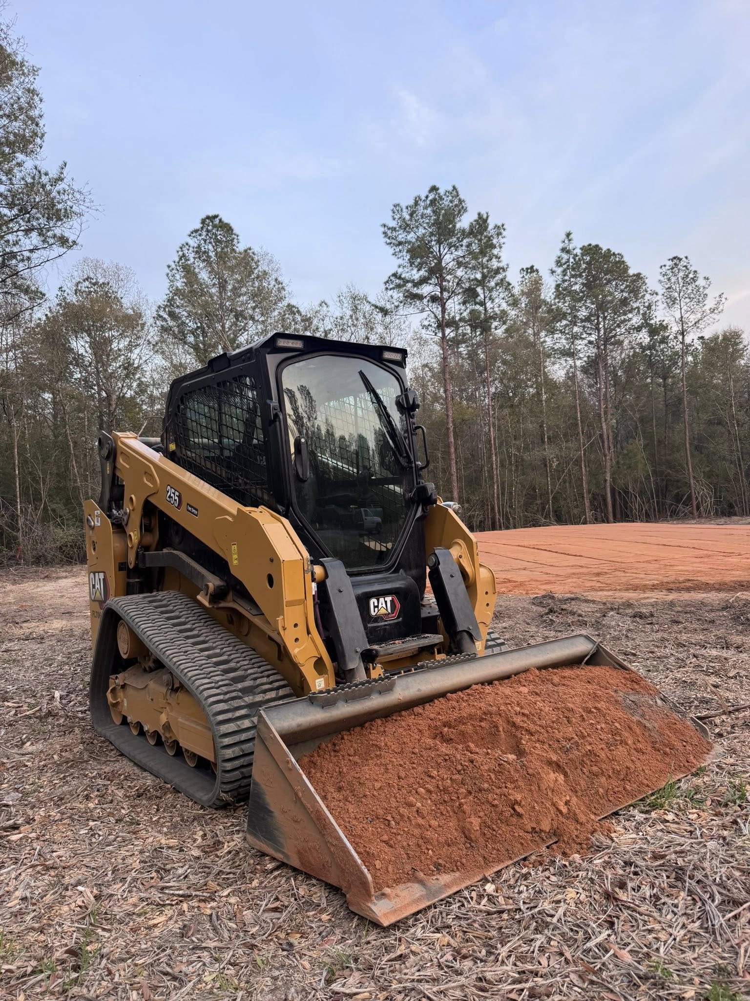 CAT track loader ready for work in wooded area