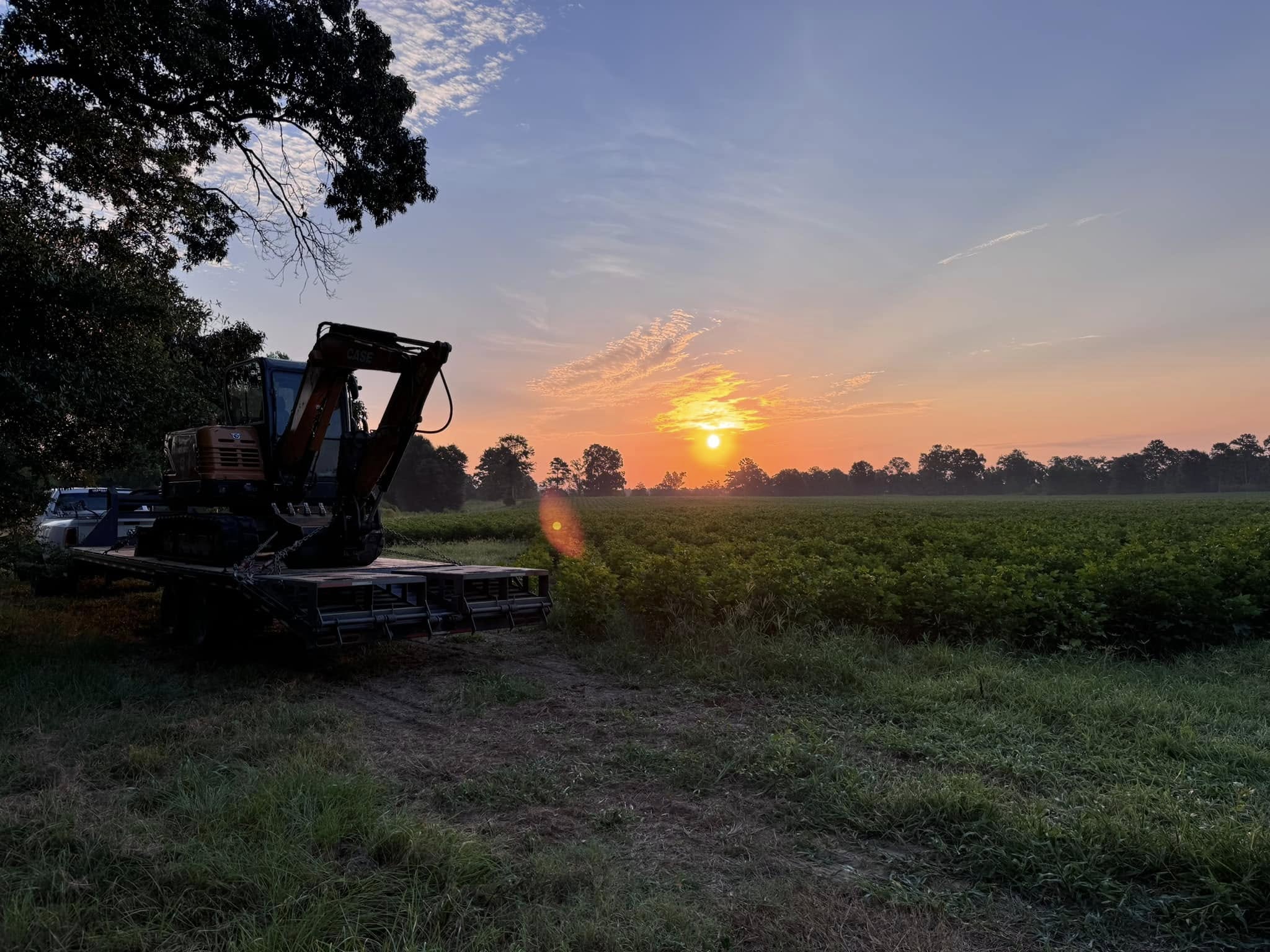 Excavator silhouette at sunset during land clearing