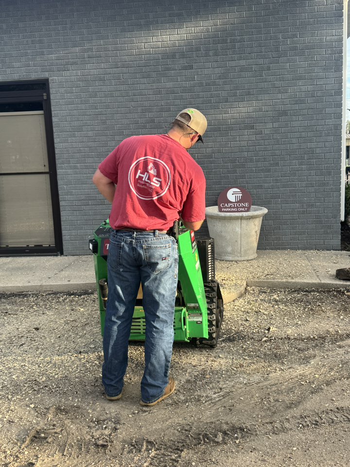 HLS professional stump grinding service