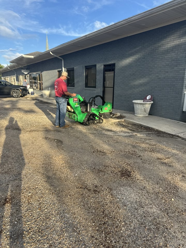 Professional stump grinding service